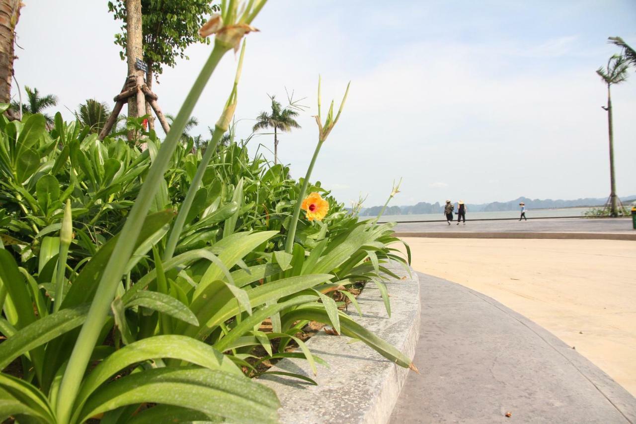 Kp Relax Halong Homestay Nan Giang Zewnętrze zdjęcie